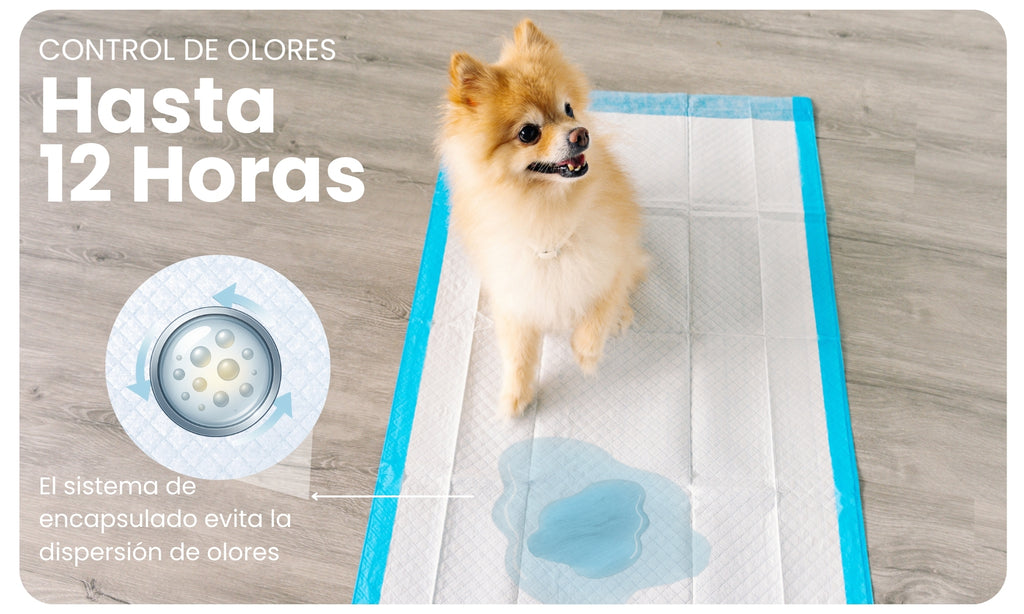 Control de olores hasta 12 horas