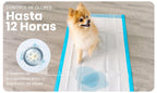 Control de olores hasta 12 horas