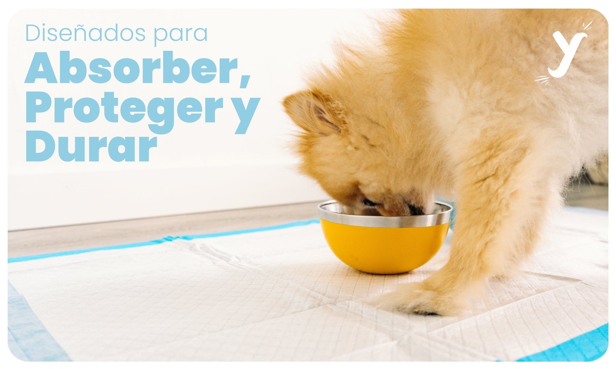 Empapadores para perros